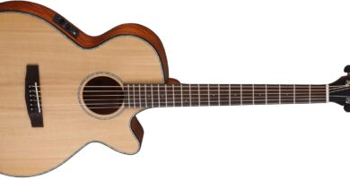 Cort SFX-E - Guitarra acústica (calibre de cuerdas .012-.053, madera satinado guitarrasacusticaselectricas.com